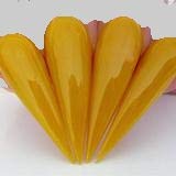 Kiara Sky Dip Powder. Marigold Long-Lasting And Lightweight Nail Dipping Powder. (1 Ounce)