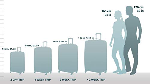 Rockland Melbourne Hardside Expandable Spinner Wheel Luggage, Purple, Carry-On 20 Inches