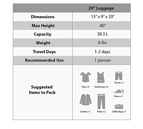 Rockland Safari Hardside Spinner Wheel Luggage, Zebra, Carry-On 20-Inch