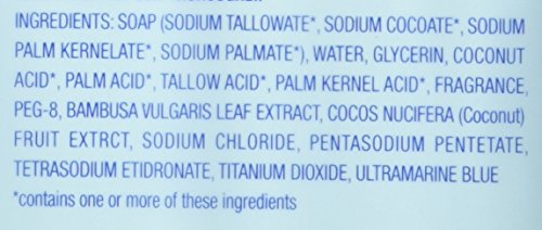 Dial Skin Care Bar Soap, Coconut Water, 4 Ounce (Pack Of 3)