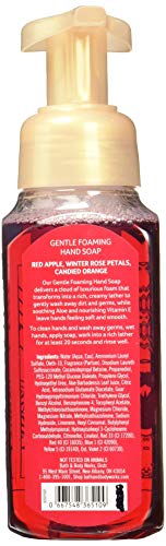 Set Of 2 Bath And Body Works Winter Candy Apple Foaming Hand Soaps
