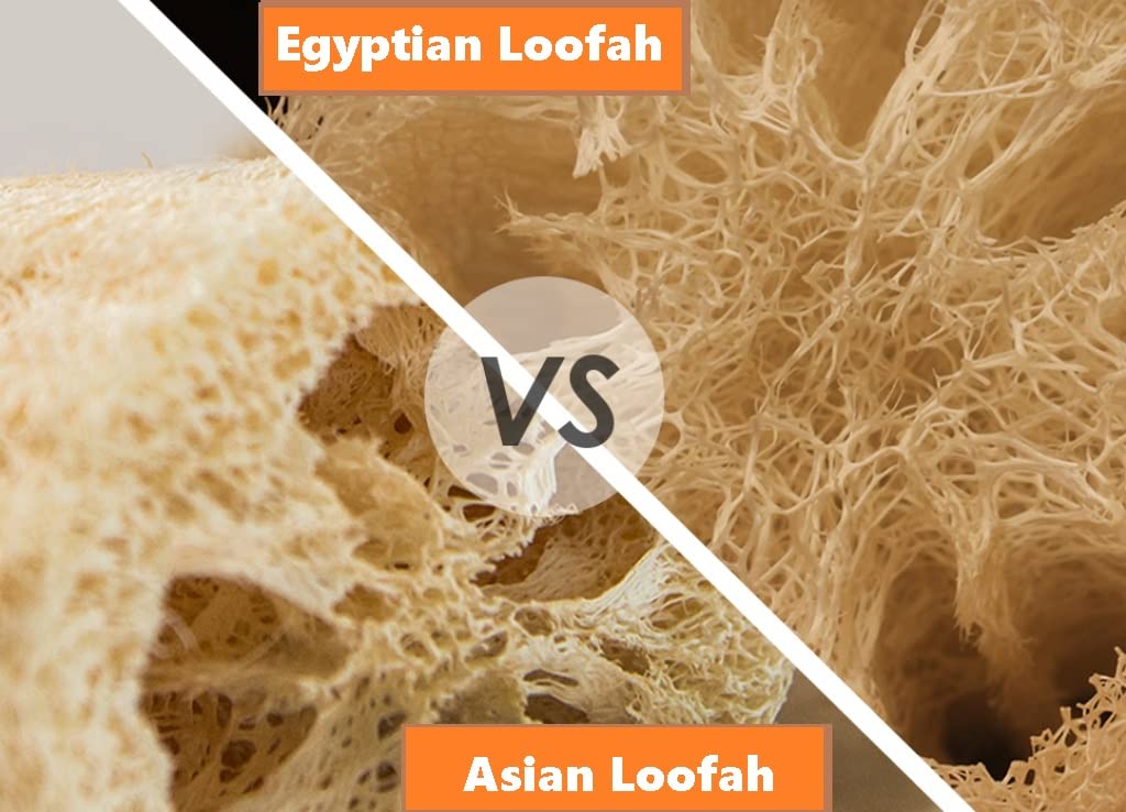 2 Natural Egyptian Loofahs Exfoliating Scrubber For Shower, Natural Loofah Sponge Body Scrubber, Deep Clean & Invigorate Your Sk