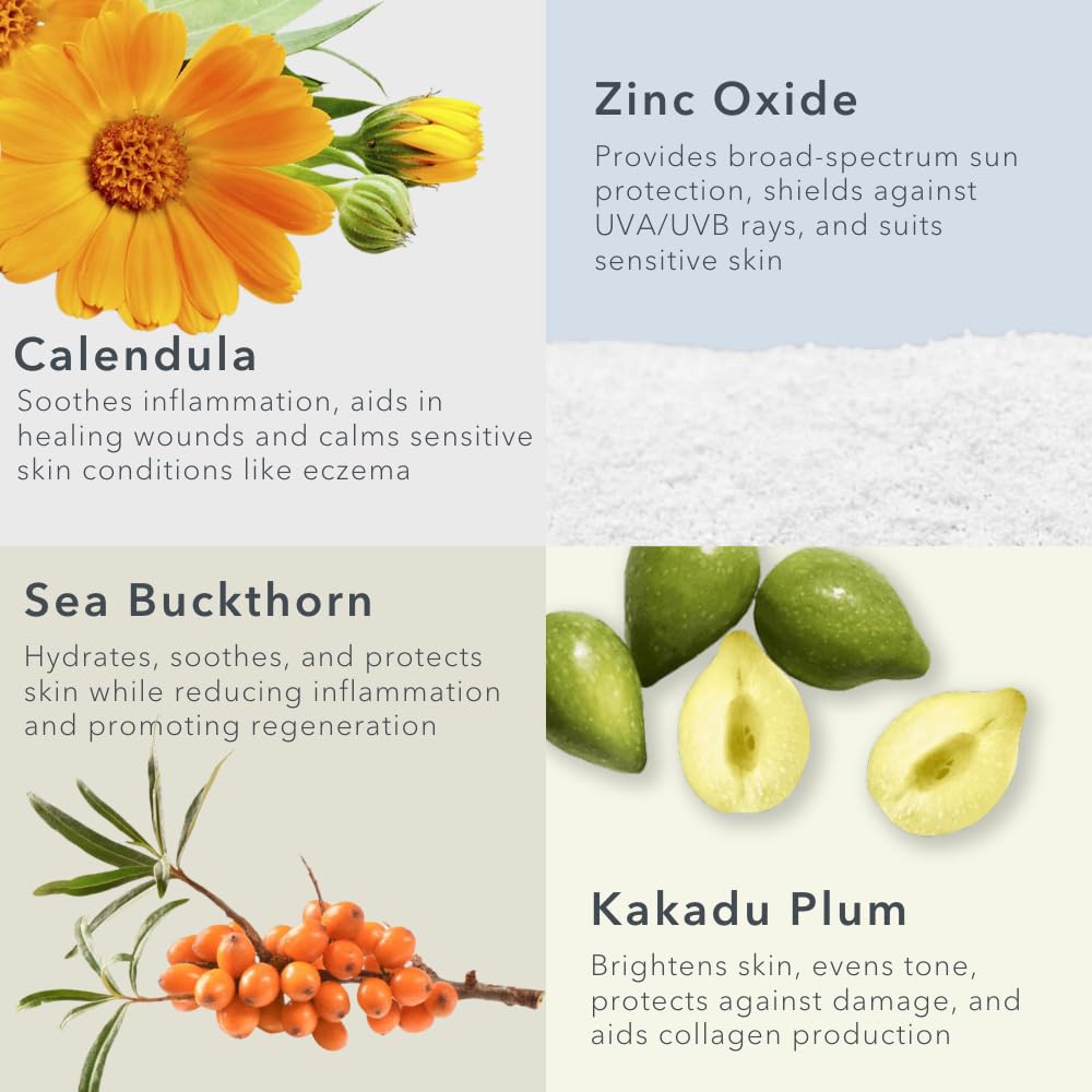 Baie Botanique Soleil - Organic Mineral Non Toxic Sunscreen For Face And Body Spf 50 - Sea Buckthorn & Calendula - Natural - Veg