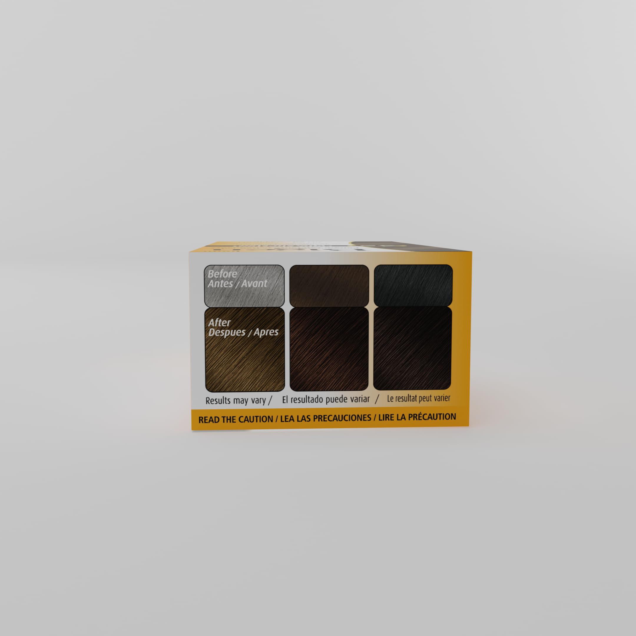 #46 Light Chestnut Bigen Permanent Powder - 6 Pack