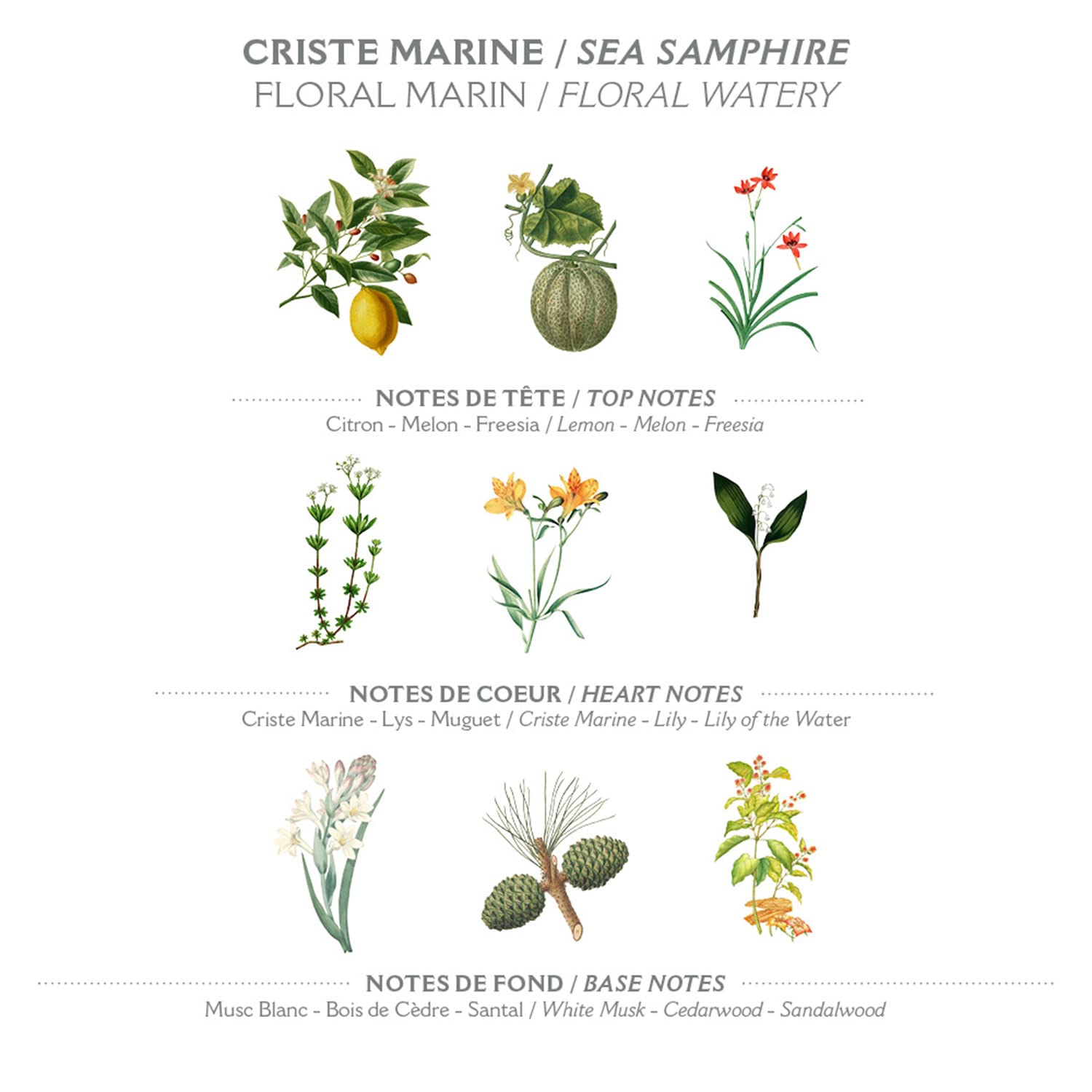 Panier Des Sens - Hand Cream For Dry Cracked Hands And Skin - Sea Samphire Mini Hand Lotion, Moisturizer, Mask - Shea Butter And