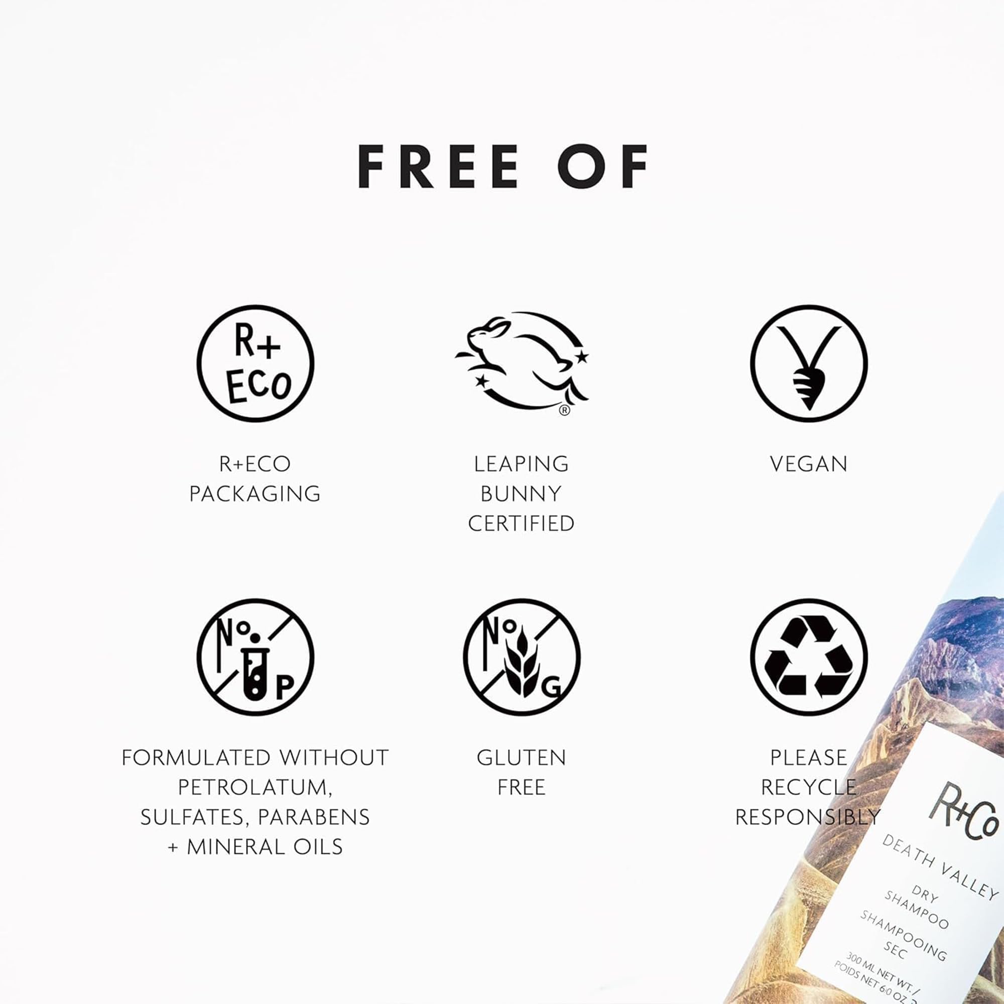 R+Co Death Valley Dry Shampoo, 6.3 Oz
