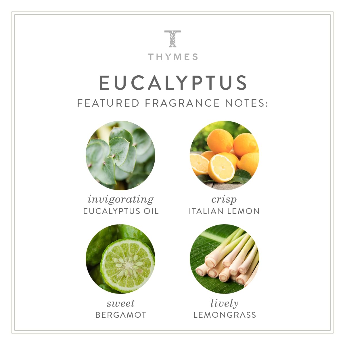 Thymes - Eucalyptus Body Wash - Luxury Shower Gel For Men & Women - 925 Oz