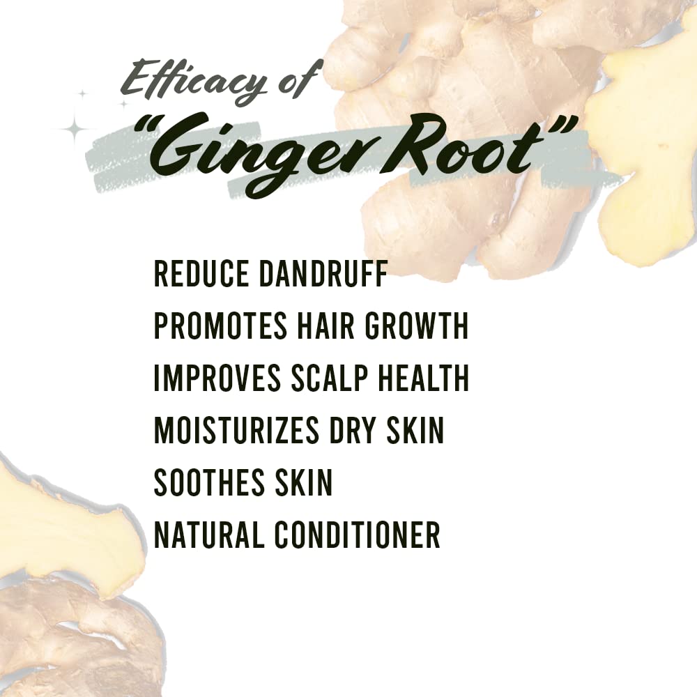 Well'S Herb Dried Ginger Root | 1.9 Oz. | 100% Natural | Perfect For Herbal-Infused Hair Oil | For Hair & Skin Oil Diy | Ginger