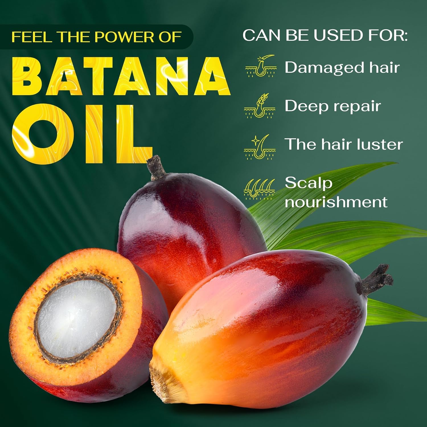 BRIGHTJUNGLE Raw Batana Oil ?.3oz Hair & Scalp Oil for Growth, Thickness & Shine ?00% Pure, Organic, Dr. Sebi Approved