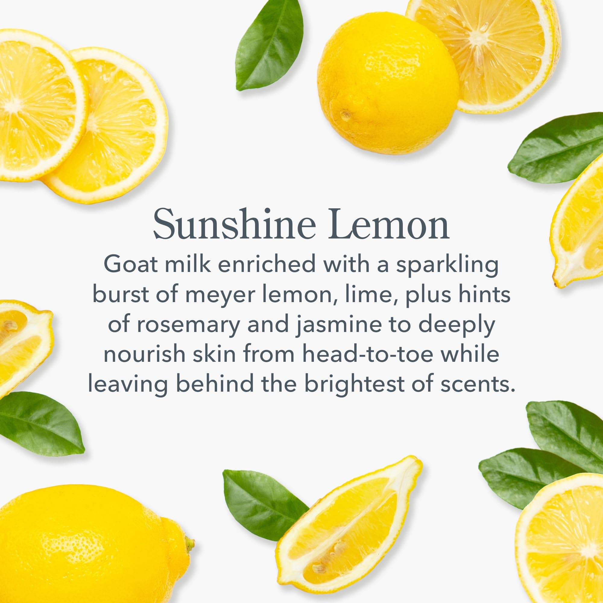 Beekman 1802 Sunshine Lemon Hand Cream - Scented - 3.4 Fl Oz - Nourishes, Hydrates & Repairs - With Goat Milk, Shea Butter & Gly