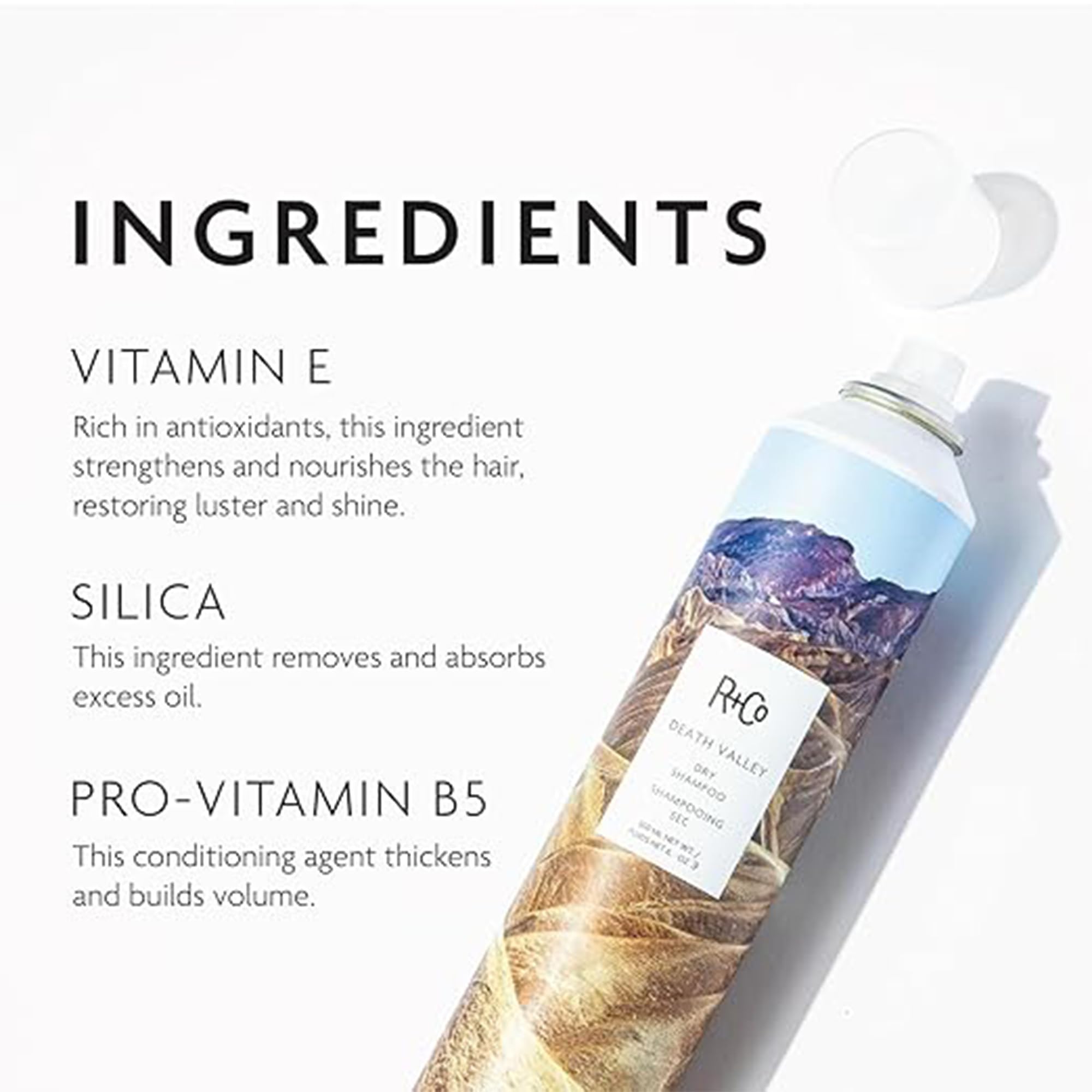 R+Co Death Valley Dry Shampoo, 6.3 Oz
