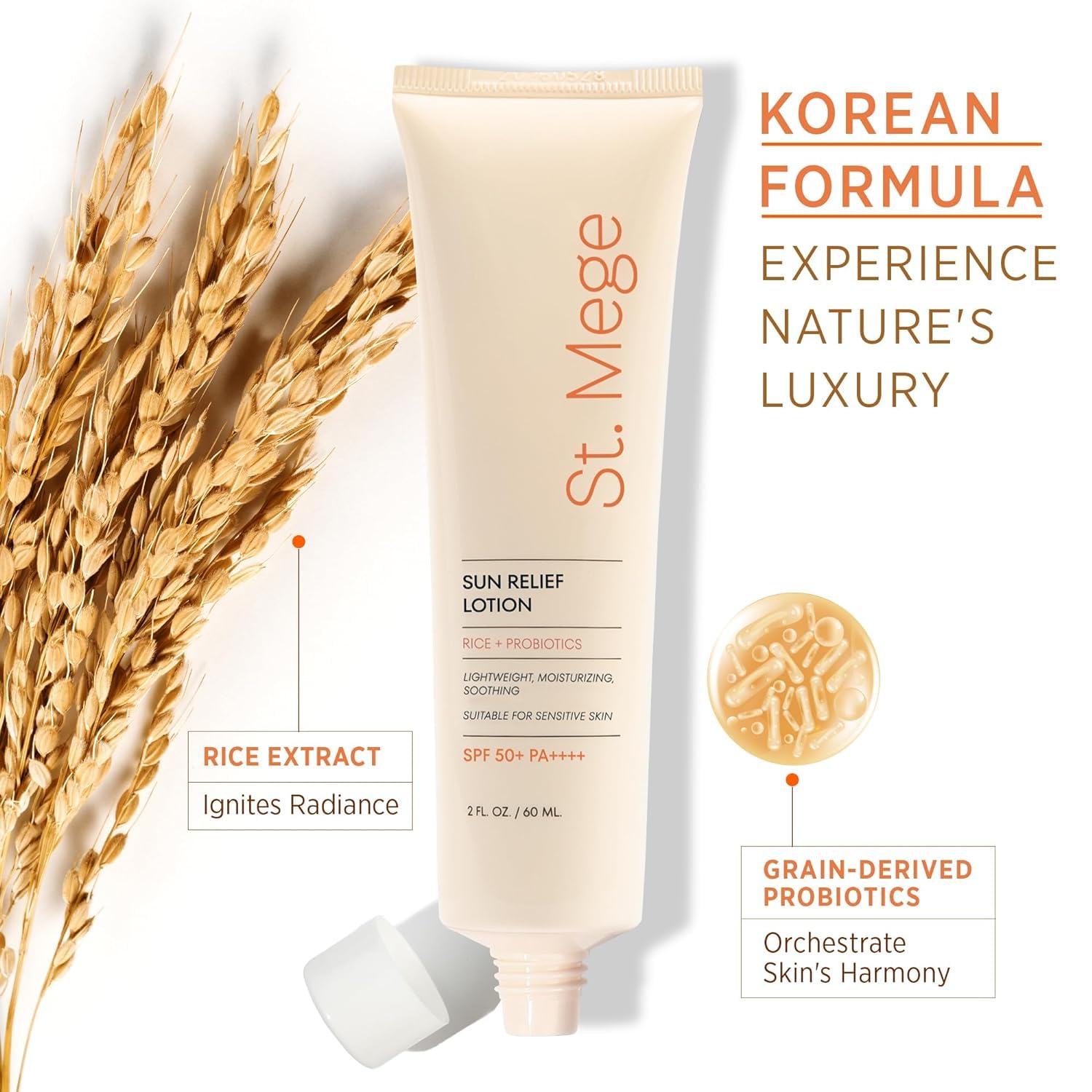 Rice Korean Lightweight Sunscreen - Daily 50+ Pa++++ Travel Size Sunscreen Lotion - Reef Safe, No White Cast, 2 Oz