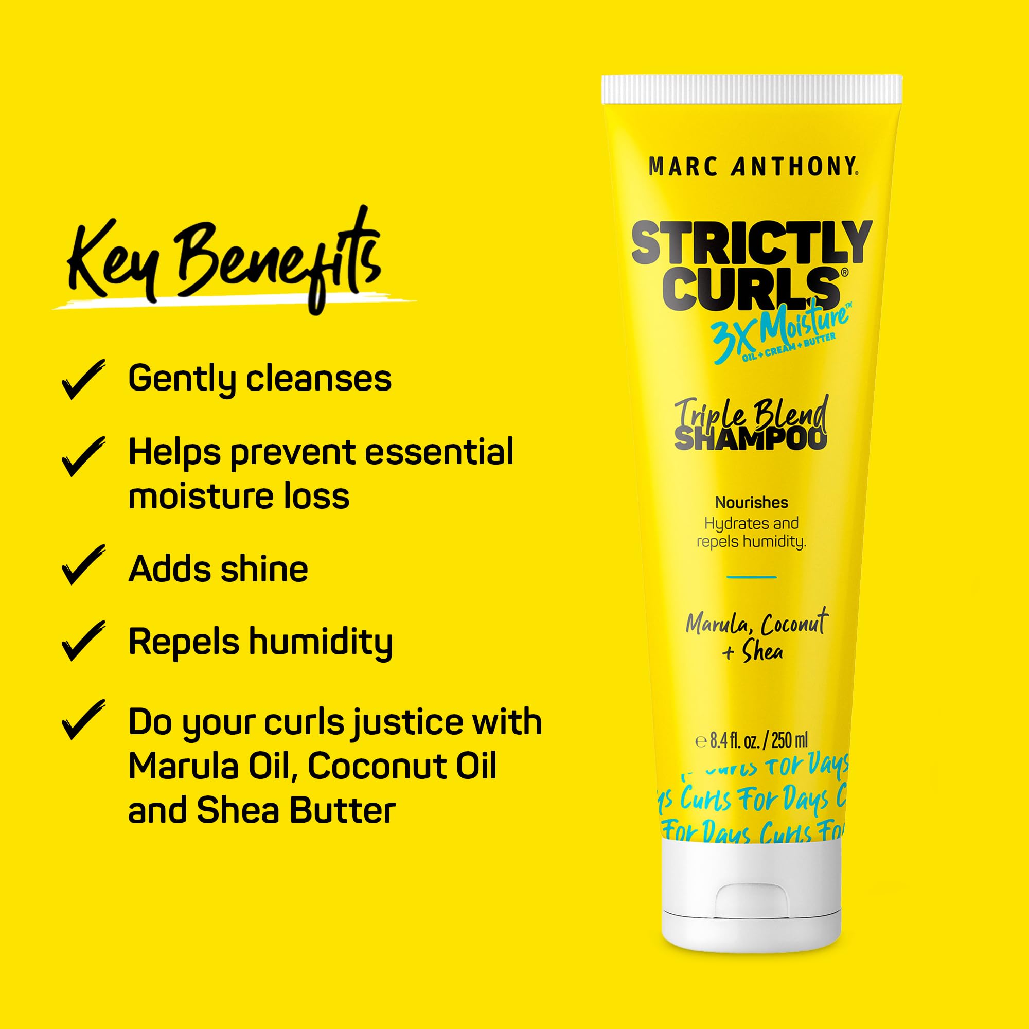 Marc Anthony Curly Hair Shampoo, Strictly Curls - 3X Moisture For Curl Defining & Curl Enhancing - Shea Butter, Marula Oil, Aloe