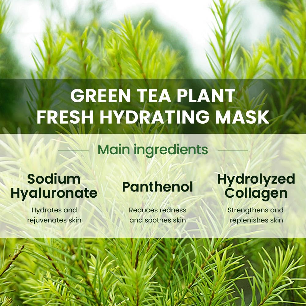 Kaely 10 Pack Tea Tree Sheet Masks,Hydrating Smoothing Face Masks For Women Men,Facial Mask Skin Care Korean,Moisturize,Brighten