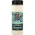 One With Nature Eucalyptus Bath Salt, 1.98 Pound