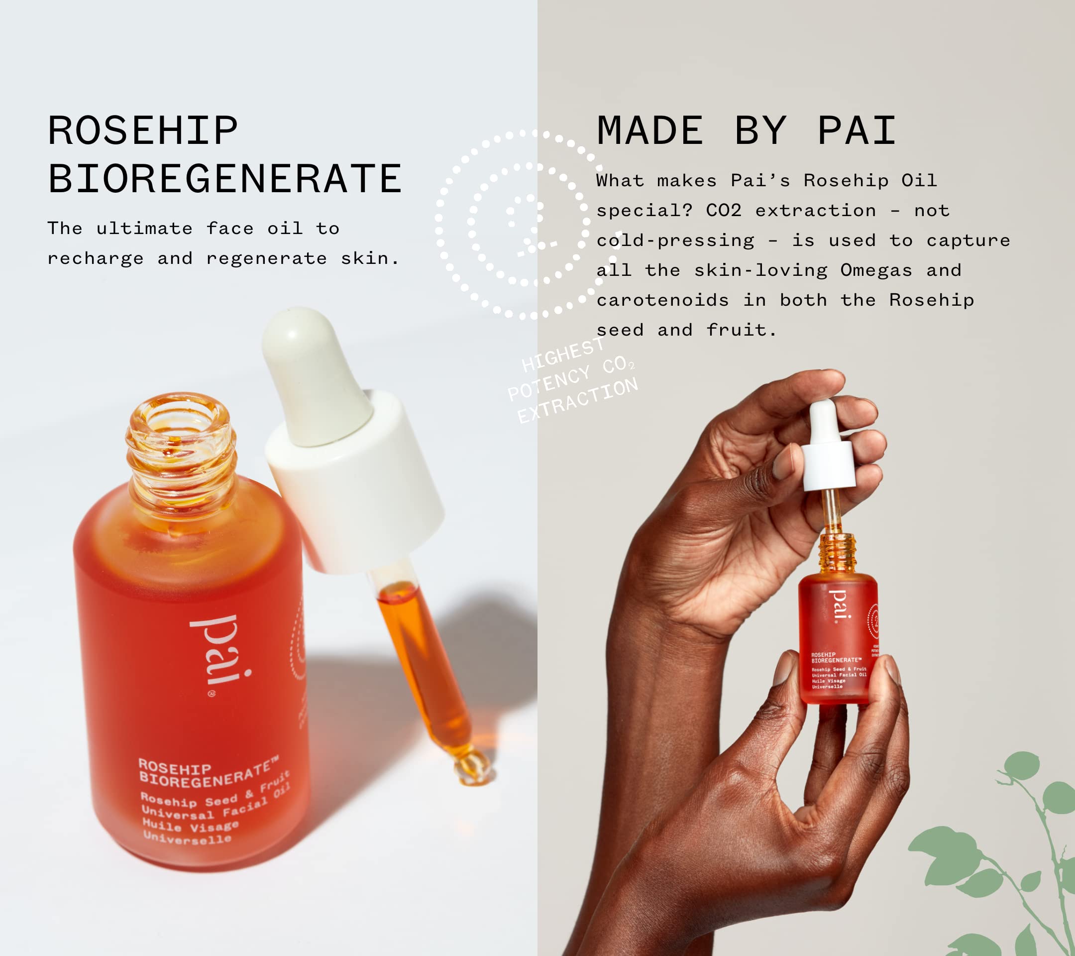 Pai Skincare - Organic Rosehip Bioregenerate Universal Facial Oil | Natural, Vegan, Sensitive Skincare (1 Fl Oz | 30 Ml)