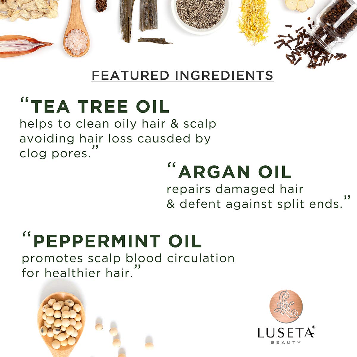 Luseta Tea Tree Shampoo With Argan Oil 16.9 Fl Oz- Clarifying,Hydrating And Fighting Dandruff And Itchy Scalp - For Damaged And