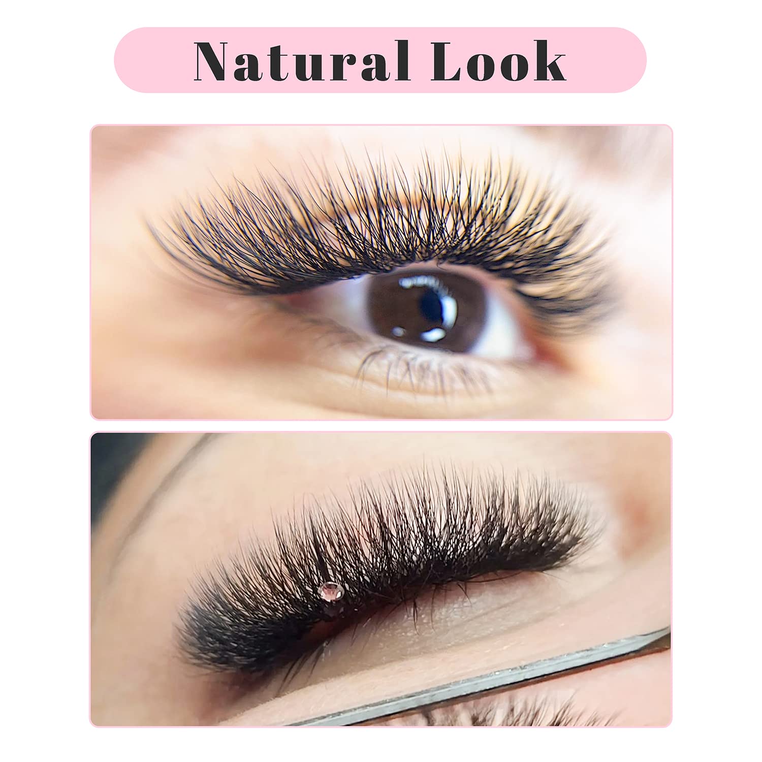 Tdance W Eyelash Extensions 4D Premade Fans W Lashes 0.07 C/D Curl Matte Black W Shaped Volume Fans (W-4D-0.07-C-13Mm)