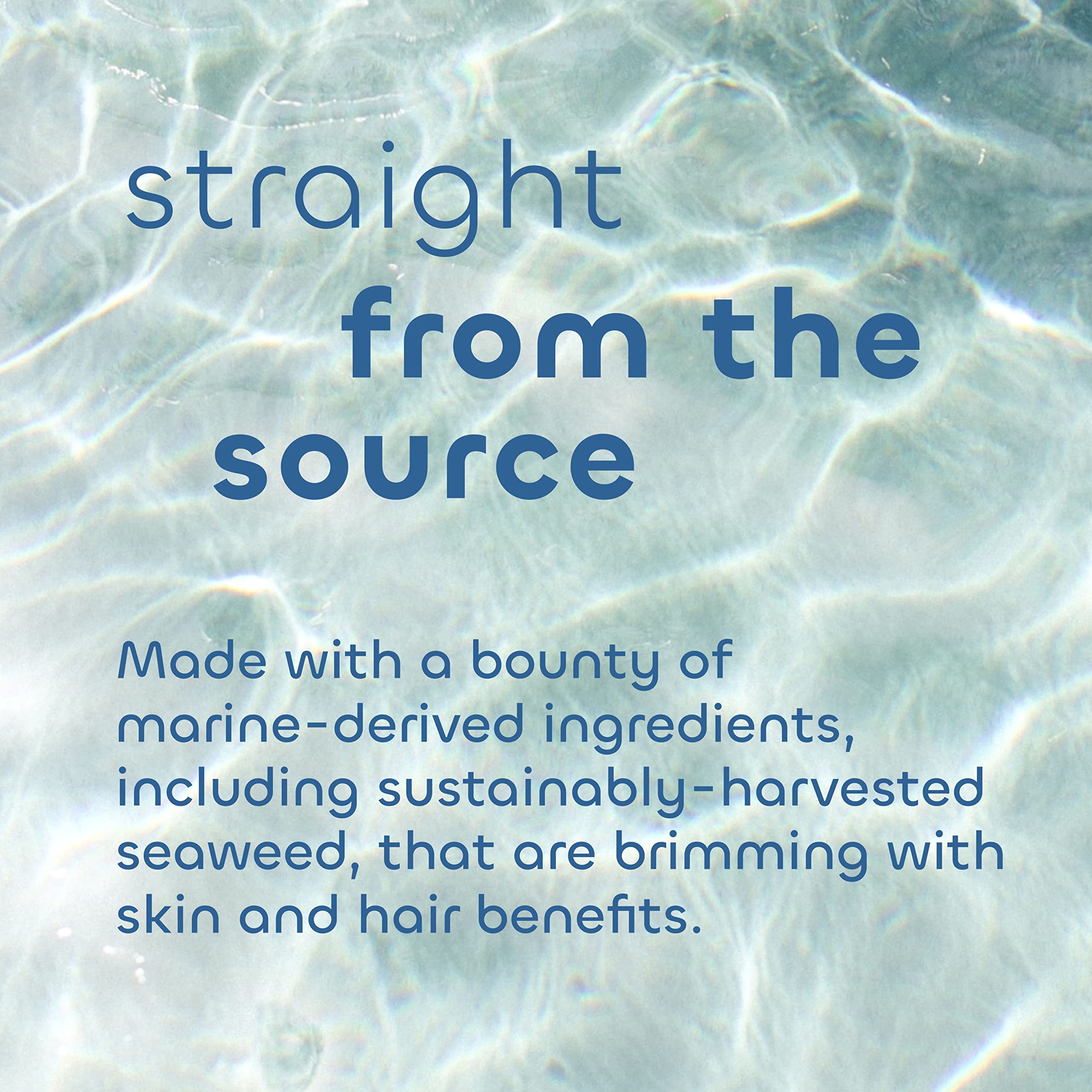 Seaweed Bath Co. Smooth Conditioner, Citrus Vanilla Scent, 12 Ounce, Sustainably Harvested Seaweed, Borage And Broccoli Seed Oil