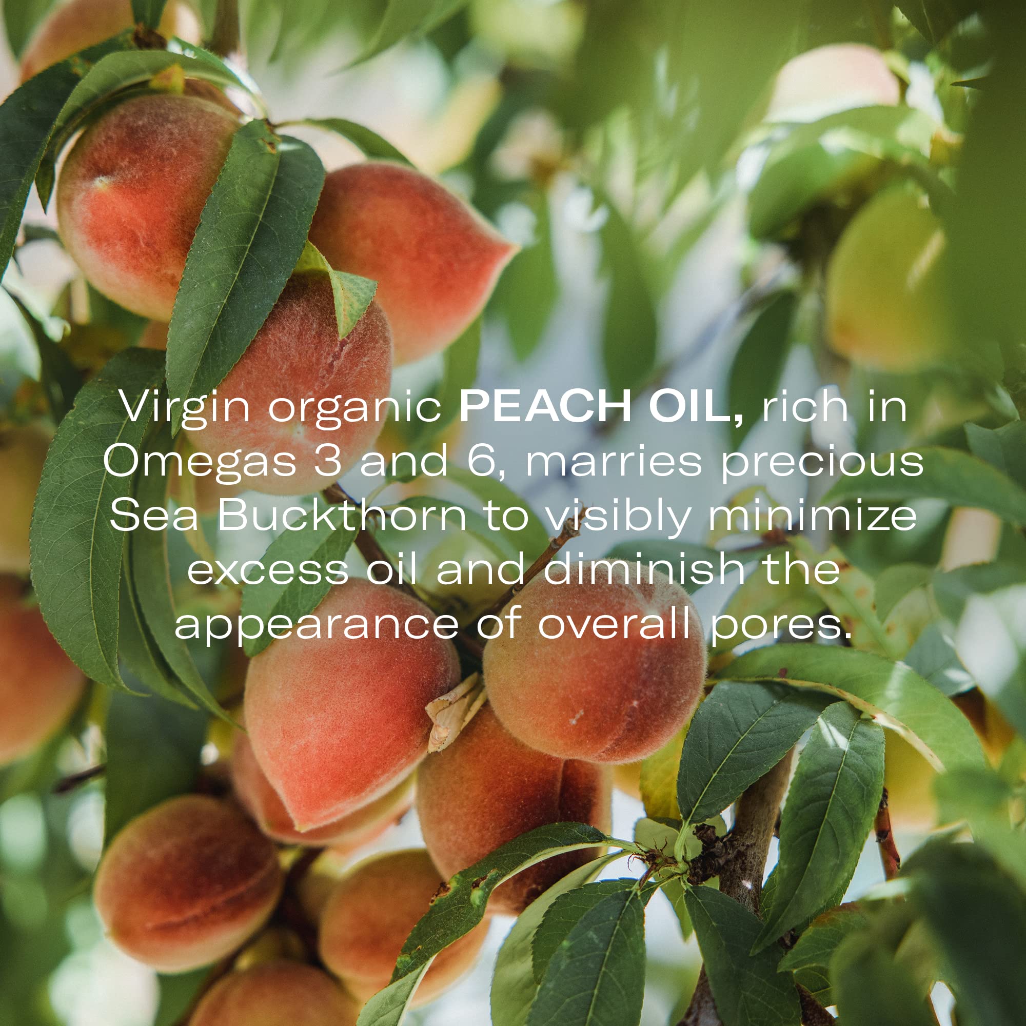 Odacit   Acne Serum Concentrate For Face, Pore Cleanser Facial Oil For Combination Skin With Peach & Cypress - Purifying Anti-Ag