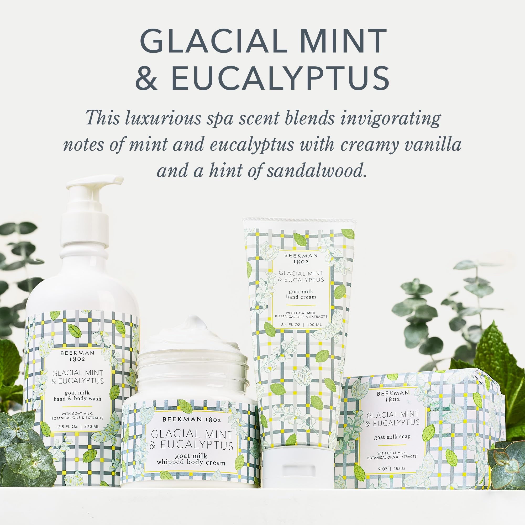Beekman 1802 Glacial Mint & Eucalyptus Goat Milk Body Lotion - Scented - 12.5 Oz - Hydrating & Deeply Moisturizing - With Shea B
