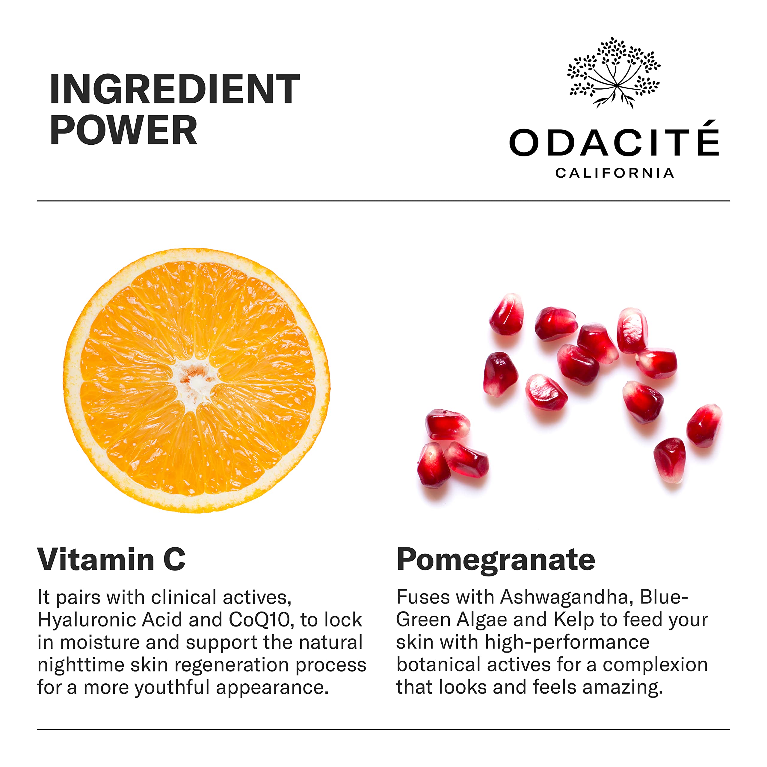 Odacit   Night Cream With Vitamin C & Ashwagandha - Creme De La Nuit Glow Recipe - Anti Aging Facial Moisturizer For Dry Skin, W