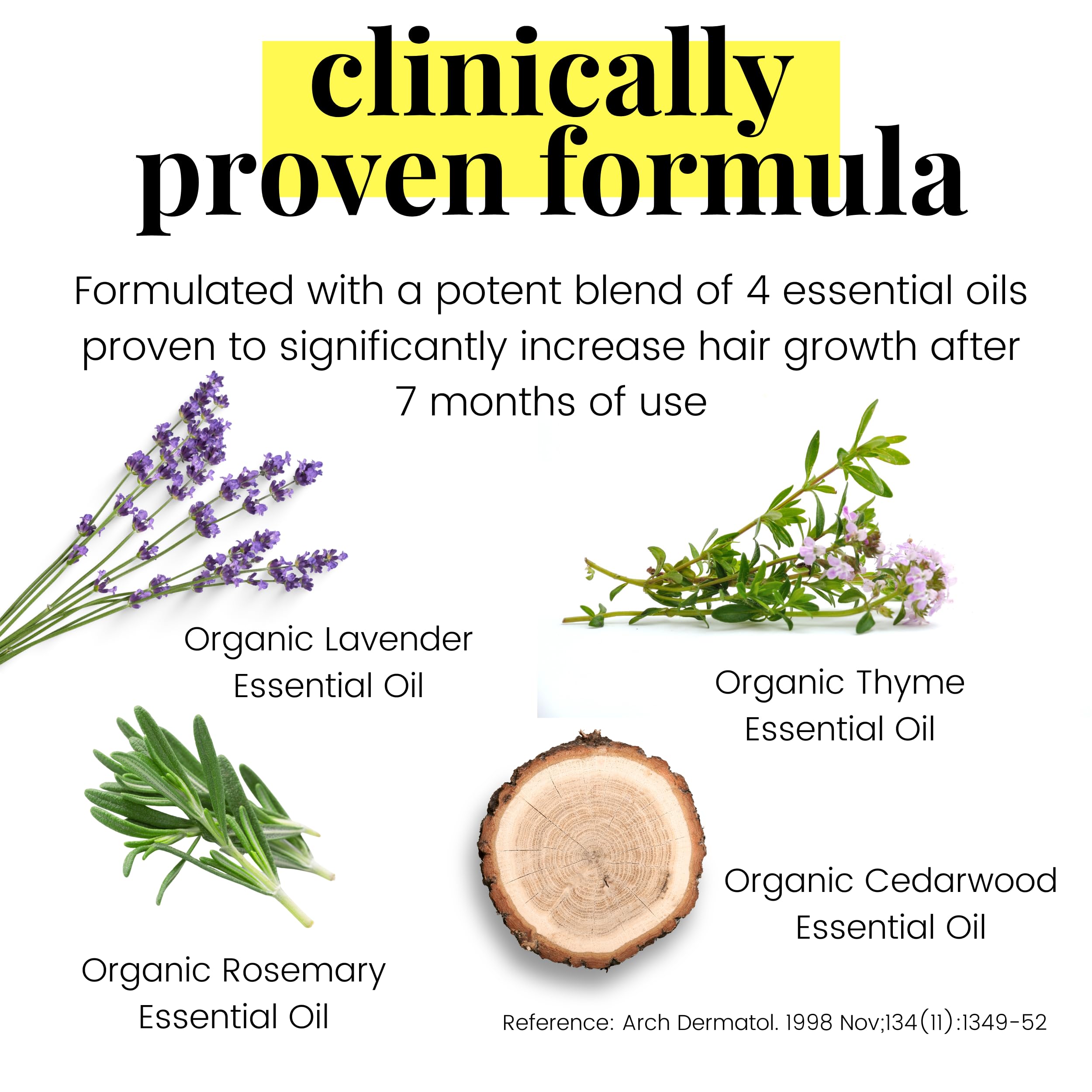 Vegan Mia Usda Organic Rosemary Oil For Hair Growth With Castor Oil & Jojoba Oil - Scalp Treatment & Intense Nourishment To Get