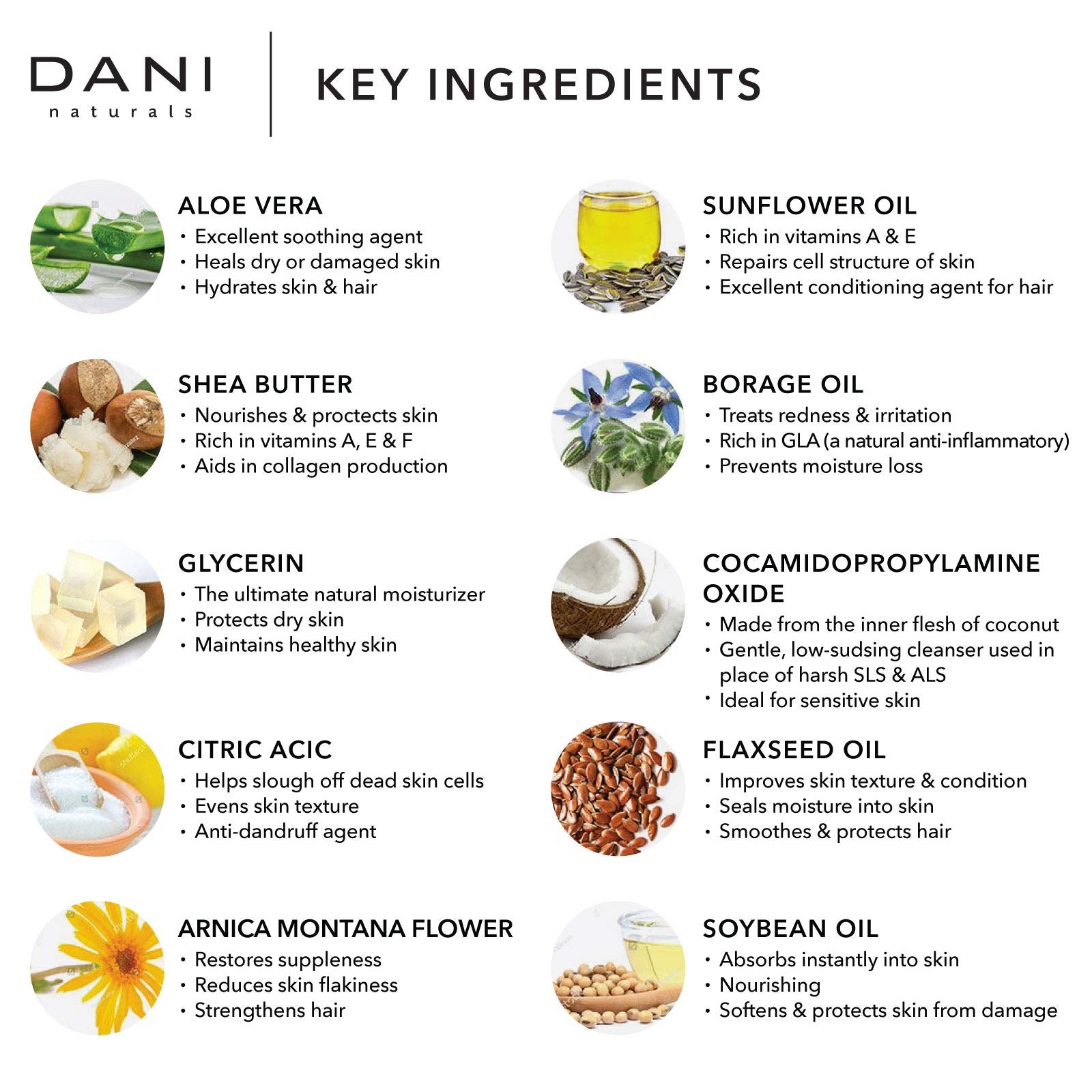 Dani Natural Moisturizing Shampoo Naturals - Invigorating Grapefruit Ginger Scent - Organic Aloe Vera & Coconut Cleansers - Sulf