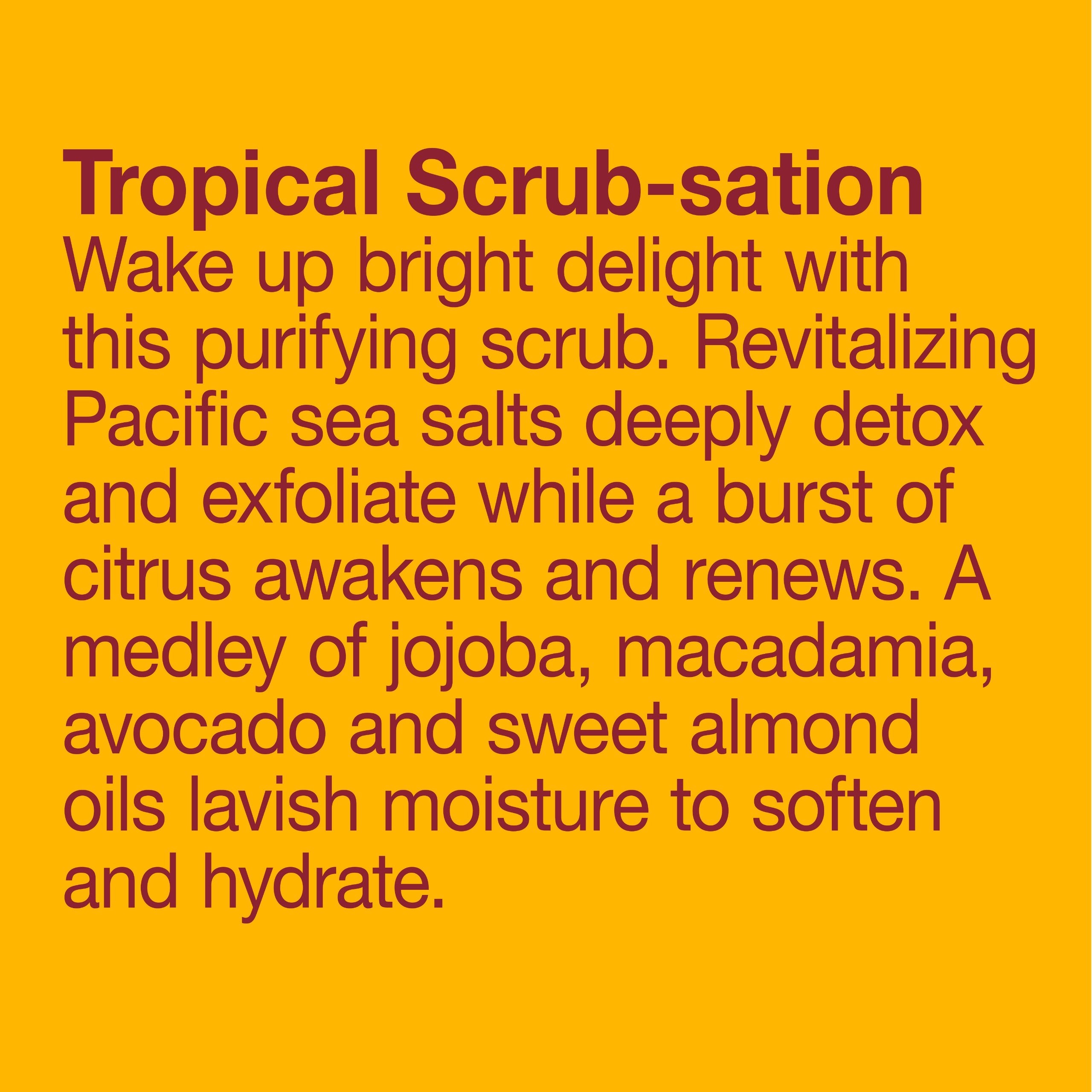 Alba Botanical Body Scrub Sea Salt, 14.5 Ounce (Pack Of 6)