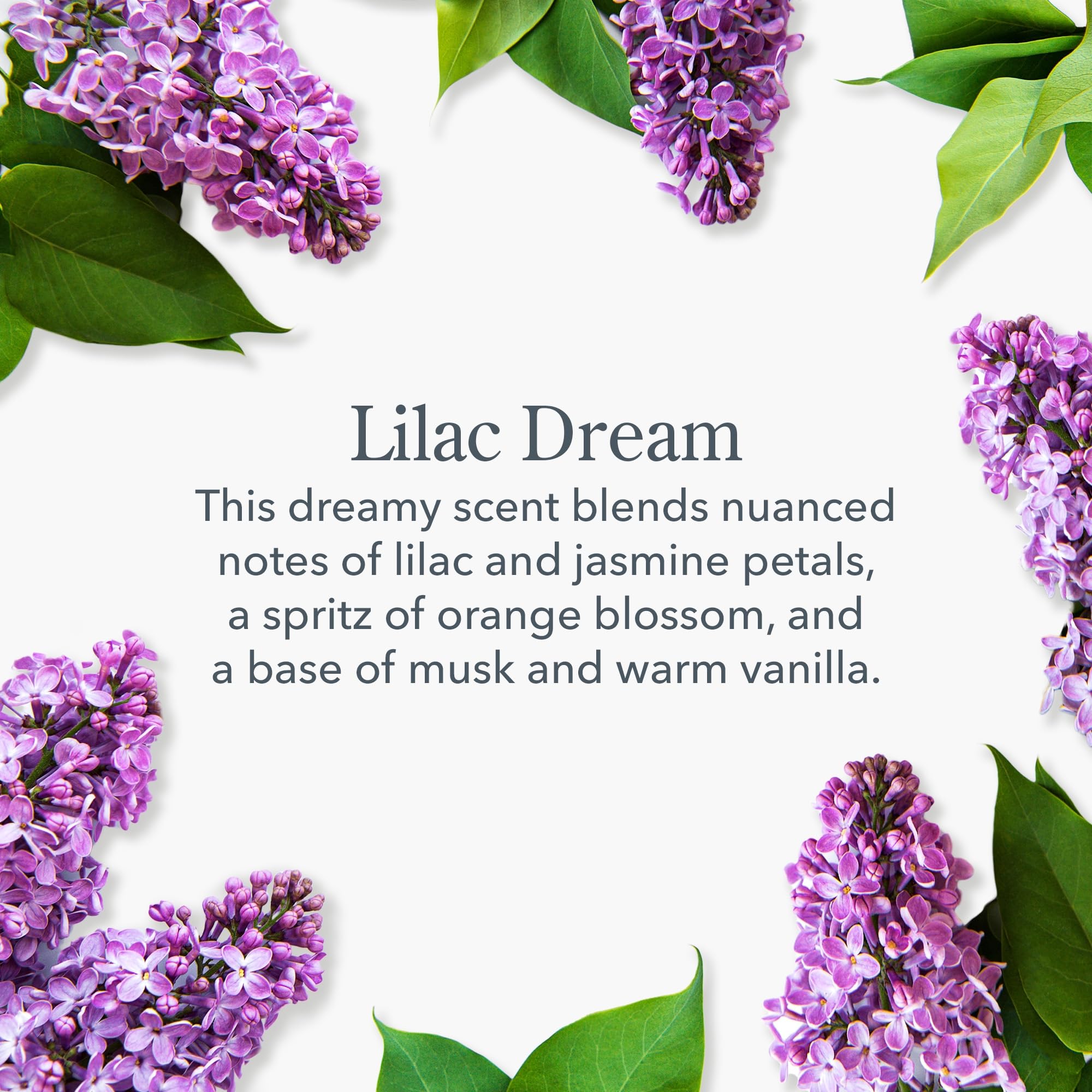 Beekman 1802 Lilac Dream Hand & Body Wash - 12.5 Fl Oz - Cleanses, Nourishes & Hydrates - With Aloe Vera And Jojoba Seed Oil - N