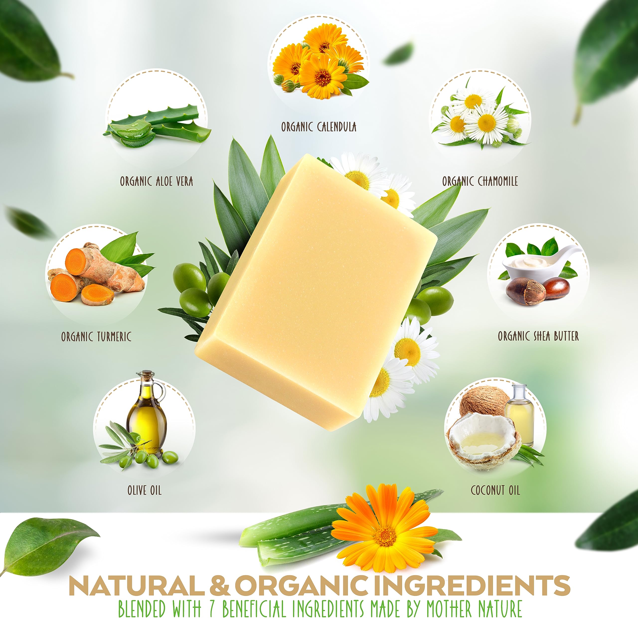 Aspen Kay Naturals Handmade Aloe Vera & Calendula Soap For Face & Body - Natural & Organic Ingredients - Organic Aloe Vera, Cale