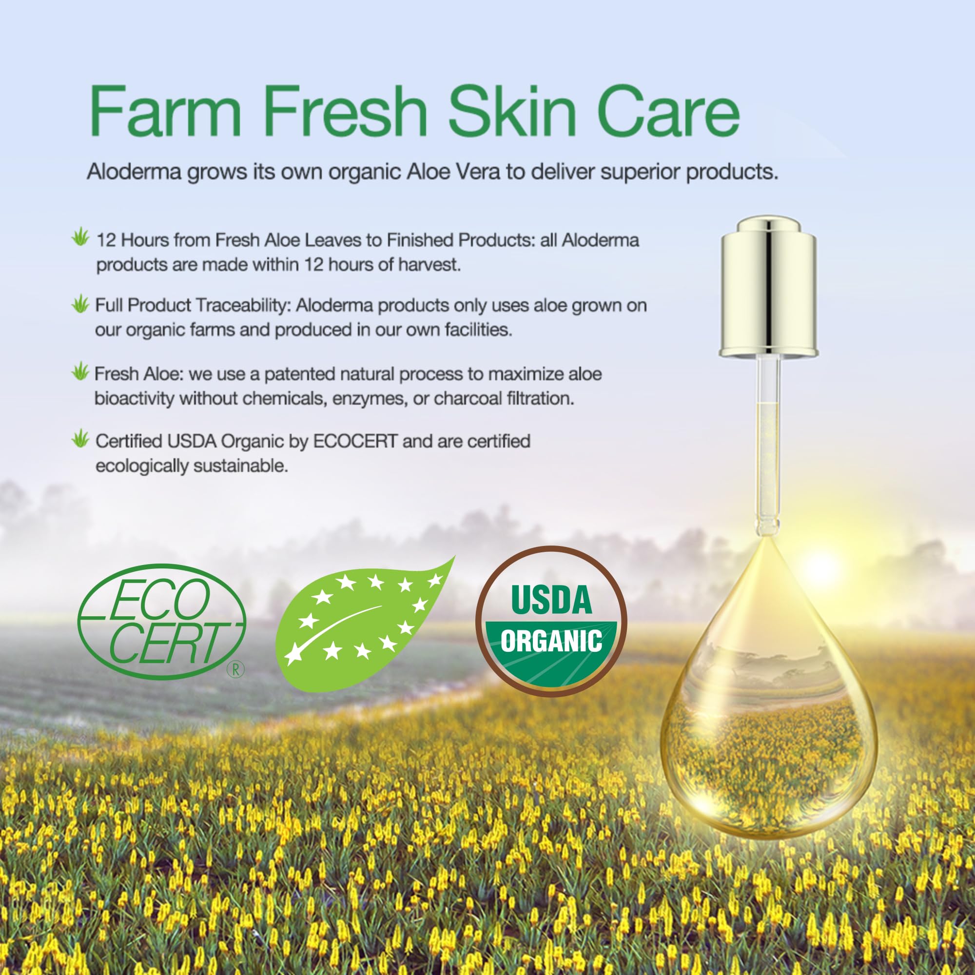Aloderma Aloe Firming Face Cream - Made At The Source With 67% Organic Aloe Vera - Firming Face & Neck Cream With Vitamin E And