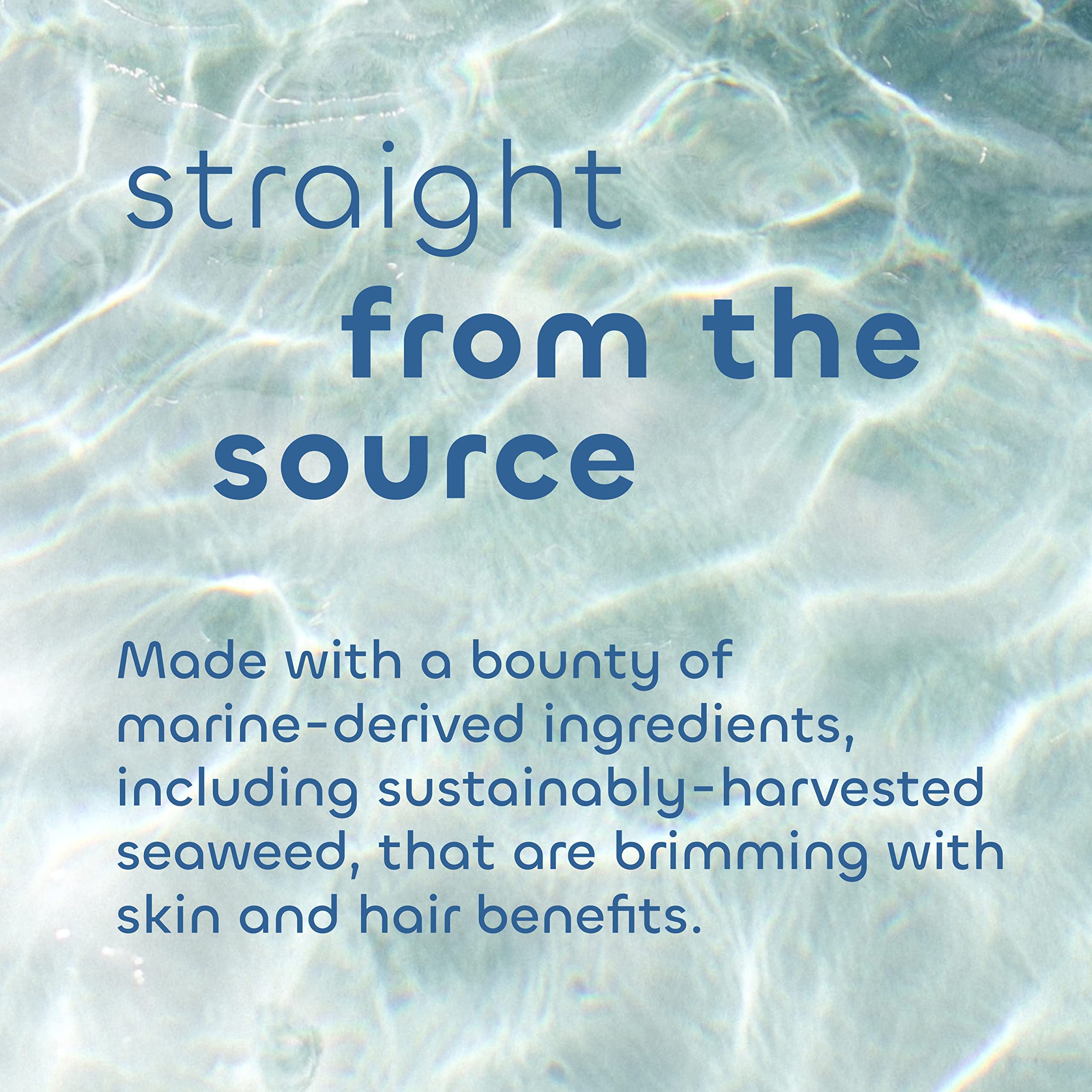 Seaweed Bath Co. Ultra-Hydrating Hand Rescue Hand Cream, Coconut Water Scent, 2 Ounce, Sustainably Harvested Seaweed, Sea Kelp,