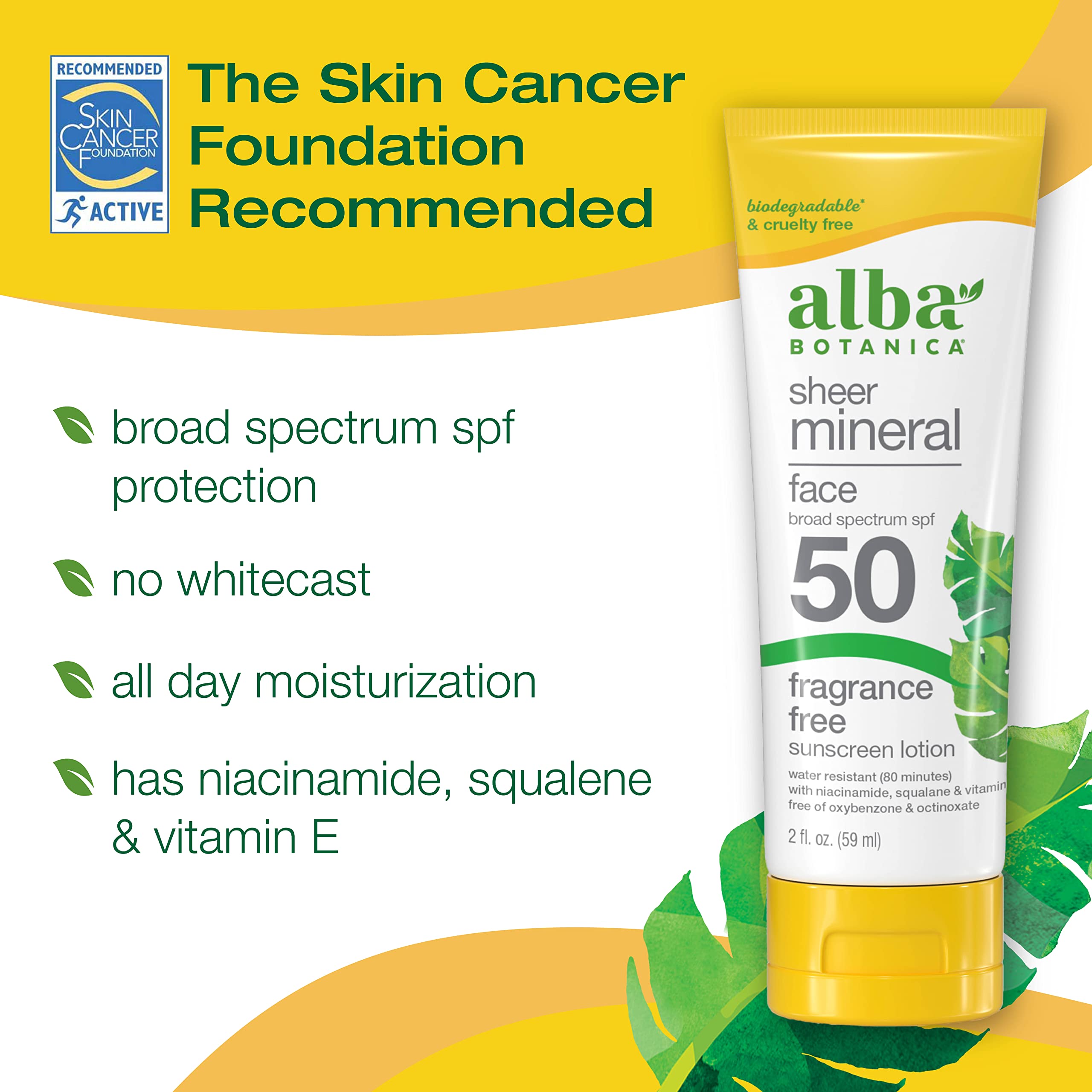 Alba Botanica Sunscreen For Face, Fragrance-Free Sheer Mineral Face Sunscreen Lotion, Broad Spectrum Spf 50, Water Resistant And