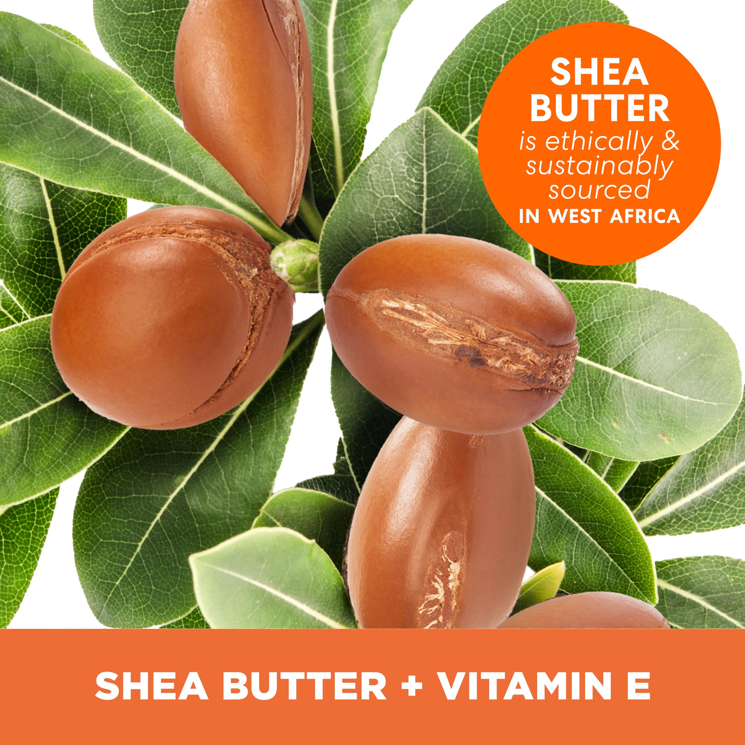 Palmer'S Shea Butter Formula Lotion 8.50 Oz (Pack Of 3)