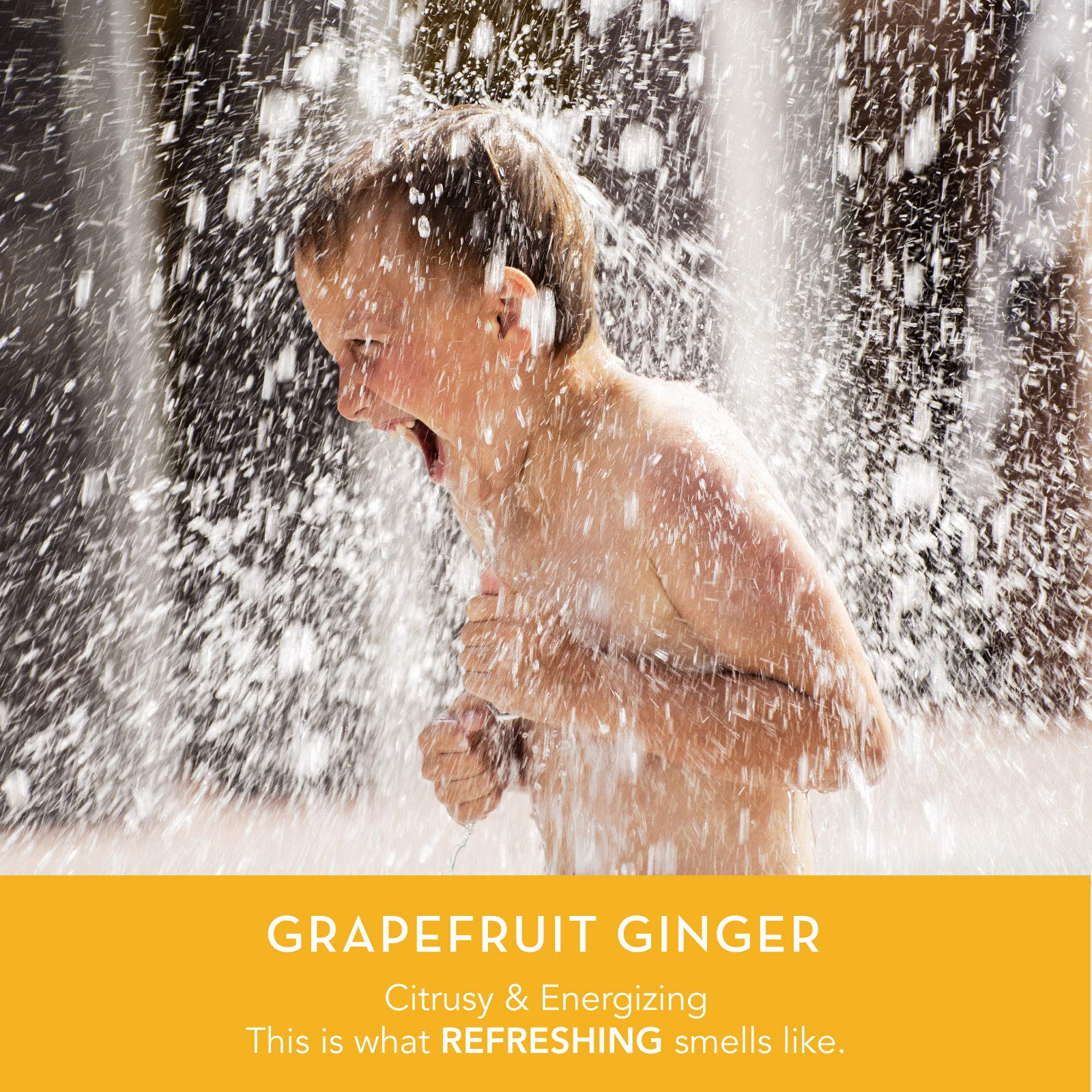 Dani Natural Moisturizing Shampoo Naturals - Invigorating Grapefruit Ginger Scent - Organic Aloe Vera & Coconut Cleansers - Sulf