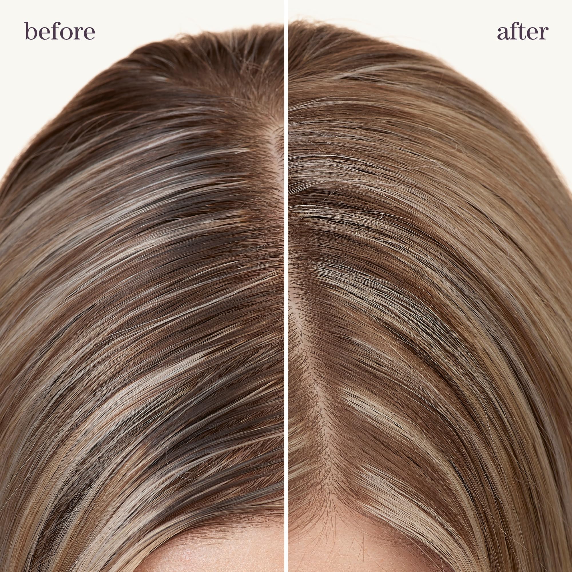 Pureology Style + Protect Refresh & Go Dry Shampoo, For Oily, Color-Treated Hair, Volumizing & Protective Dry Shampoo, Silicone-