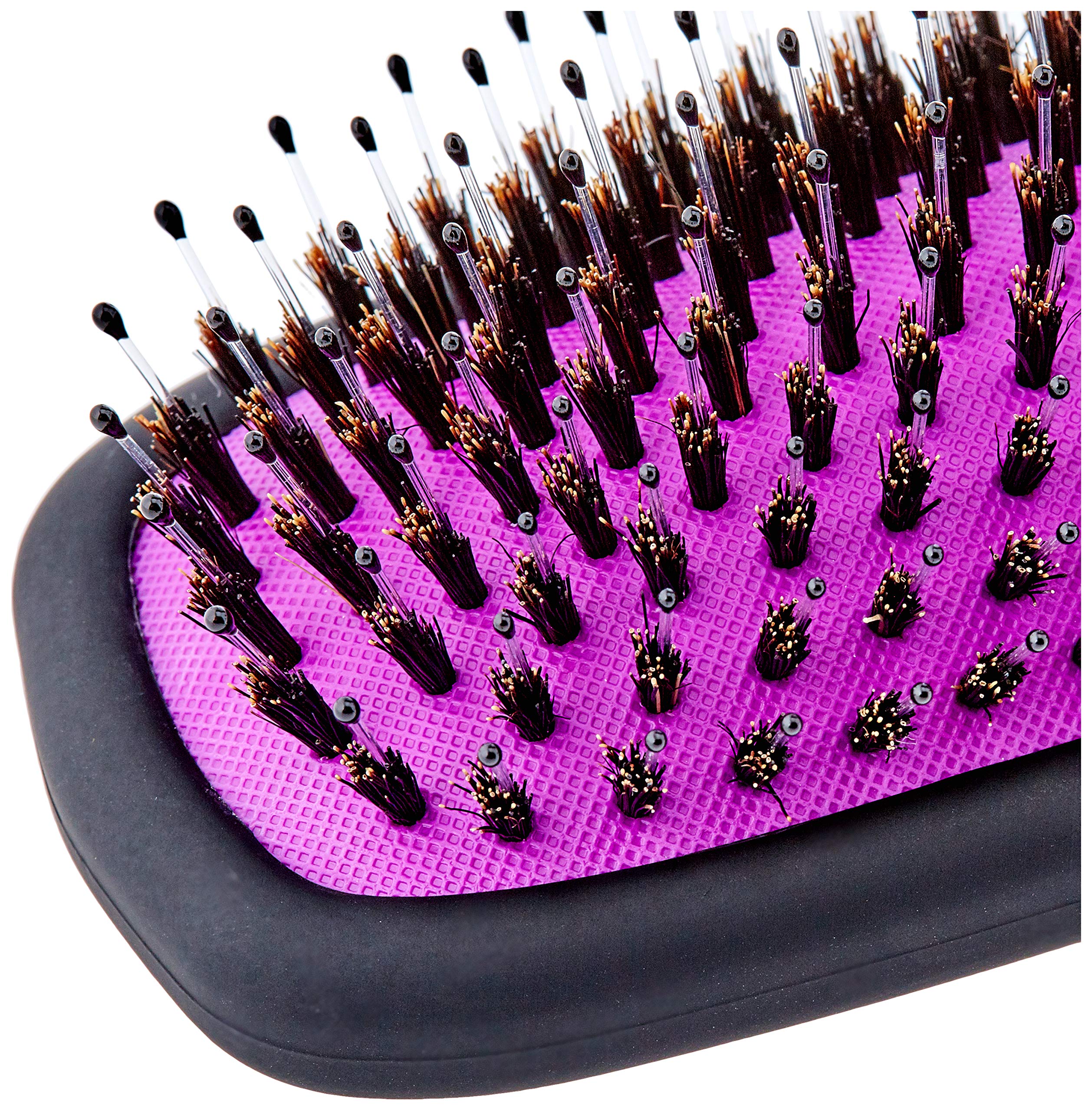 Unknown Wet Brushpro Shine Enhancer Blackout Ea , Black/Purple, 1 Count