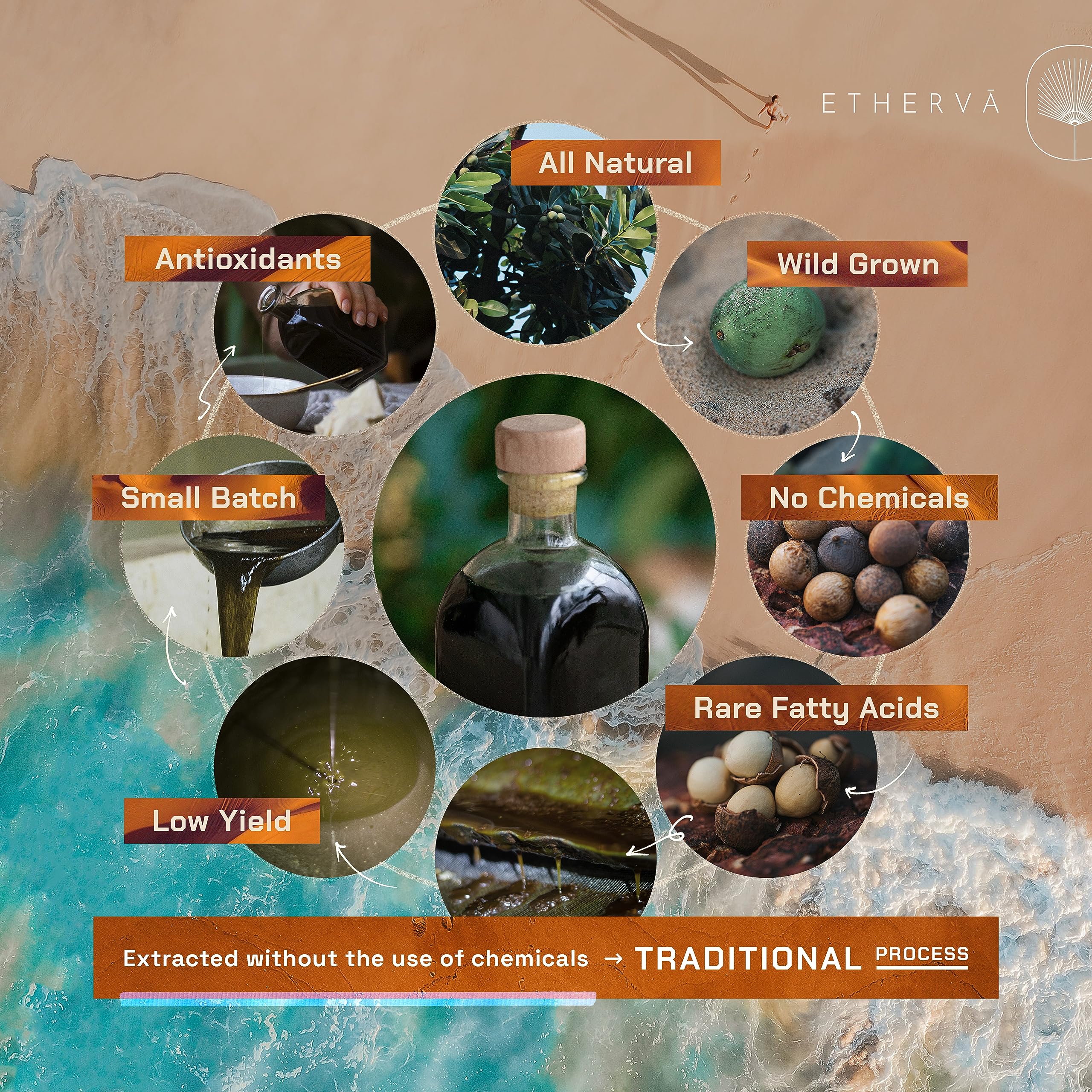 Etherva Tamanu Oil | No Chemicals | Natural Scent | Unrefined, Raw, Cold Pressed For Diy Whipped Creams | Wild Grown Organic Ind